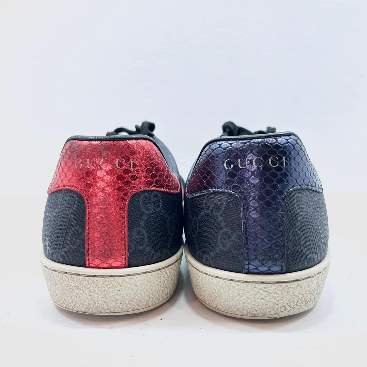 TENIS GUCCI