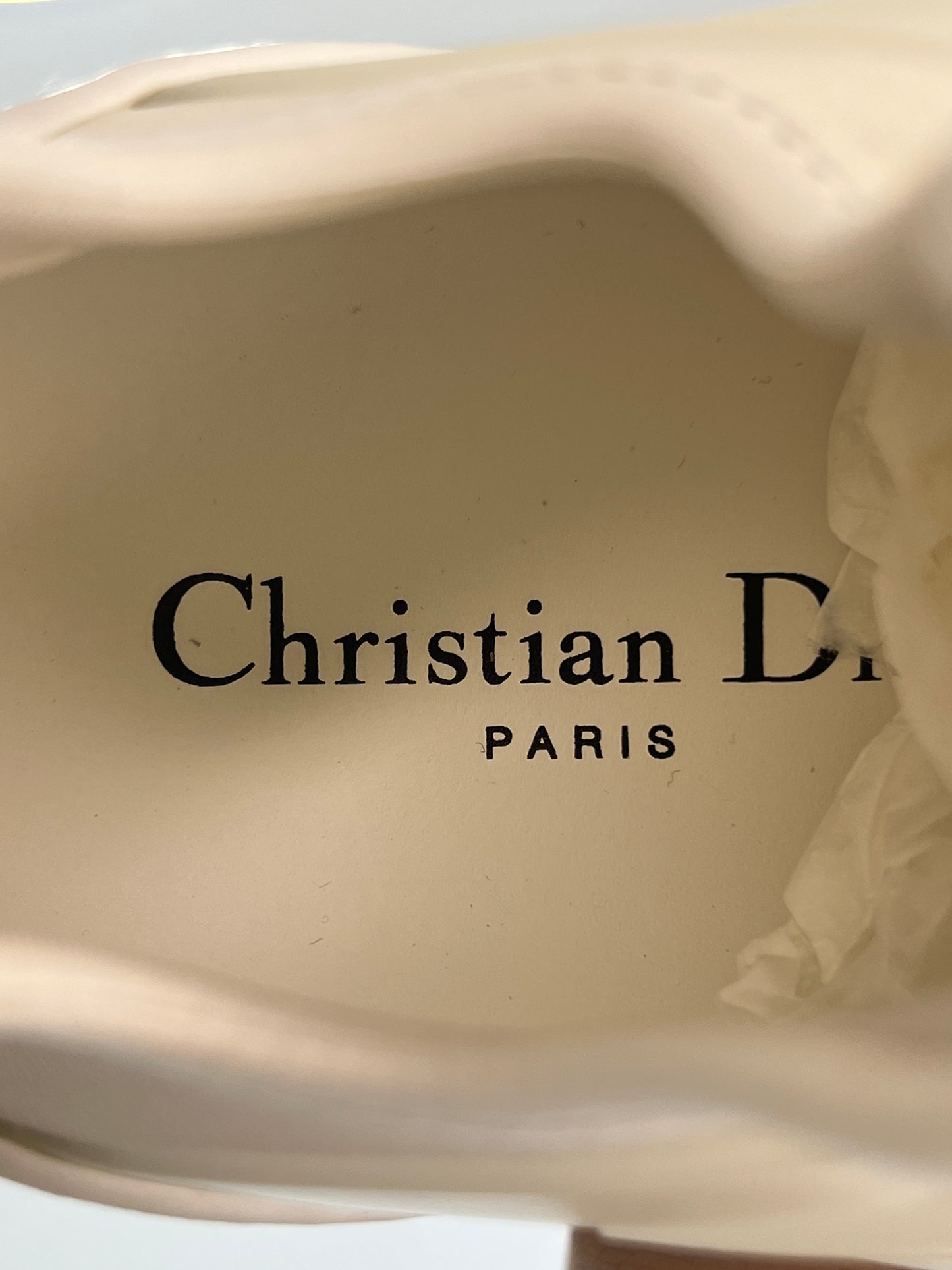 TENIS DIOR D-CONNECT