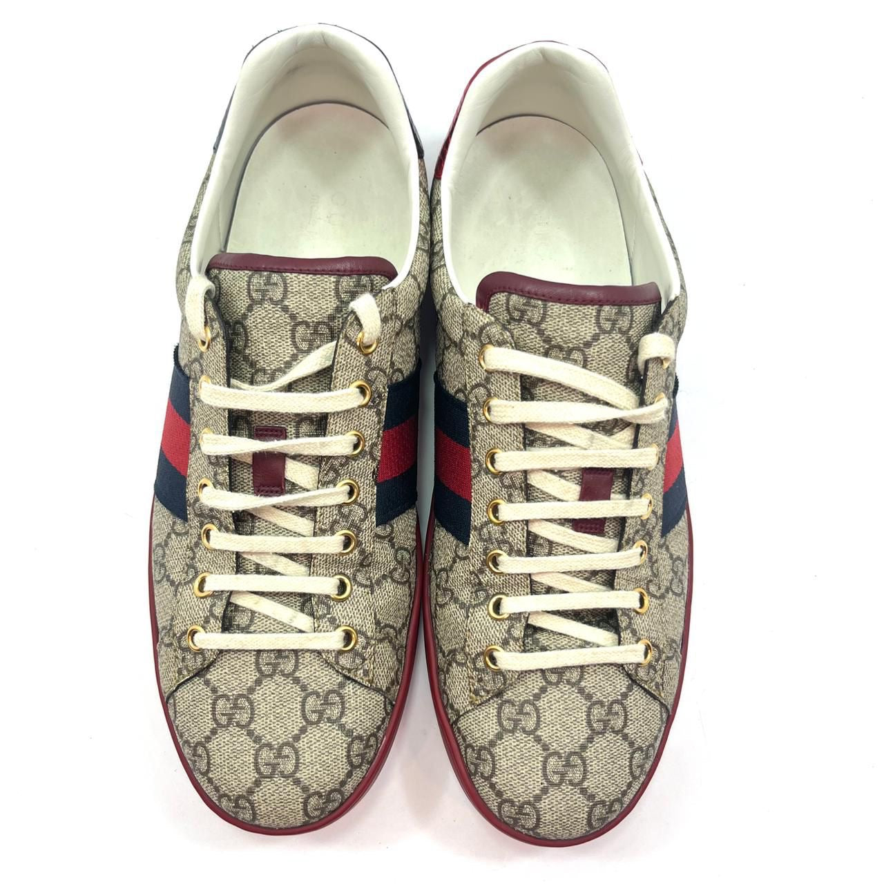 TENIS GUCCI