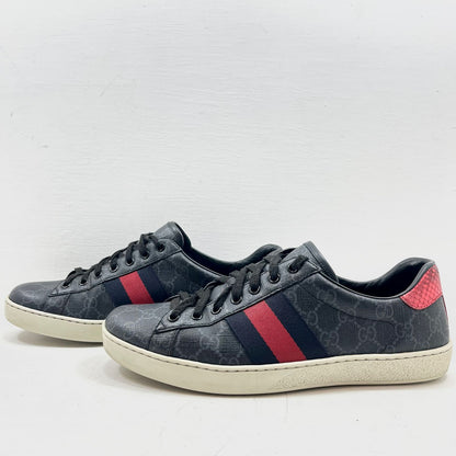 TENIS GUCCI