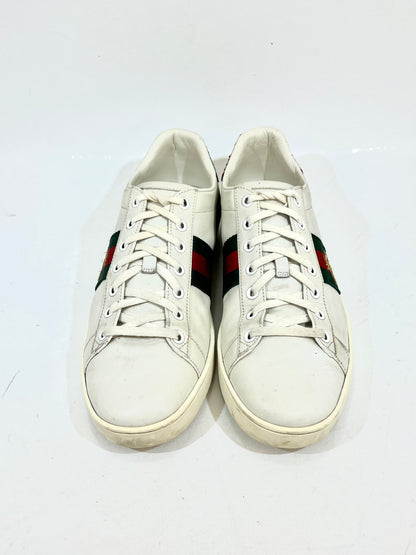 TENIS ACE GUCCI