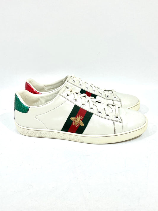TENIS ACE GUCCI