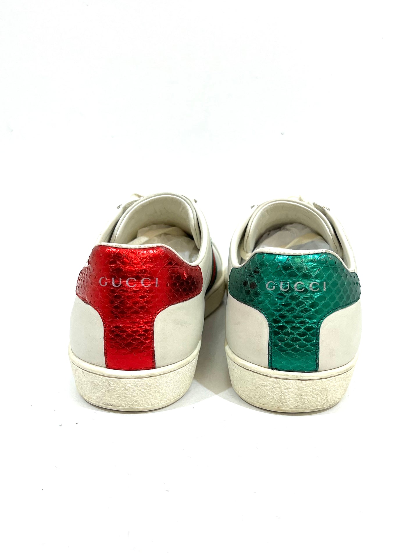 TENIS ACE GUCCI