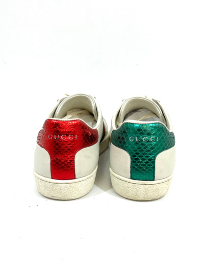 TENIS ACE GUCCI